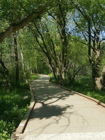 Collingwood Arboretum